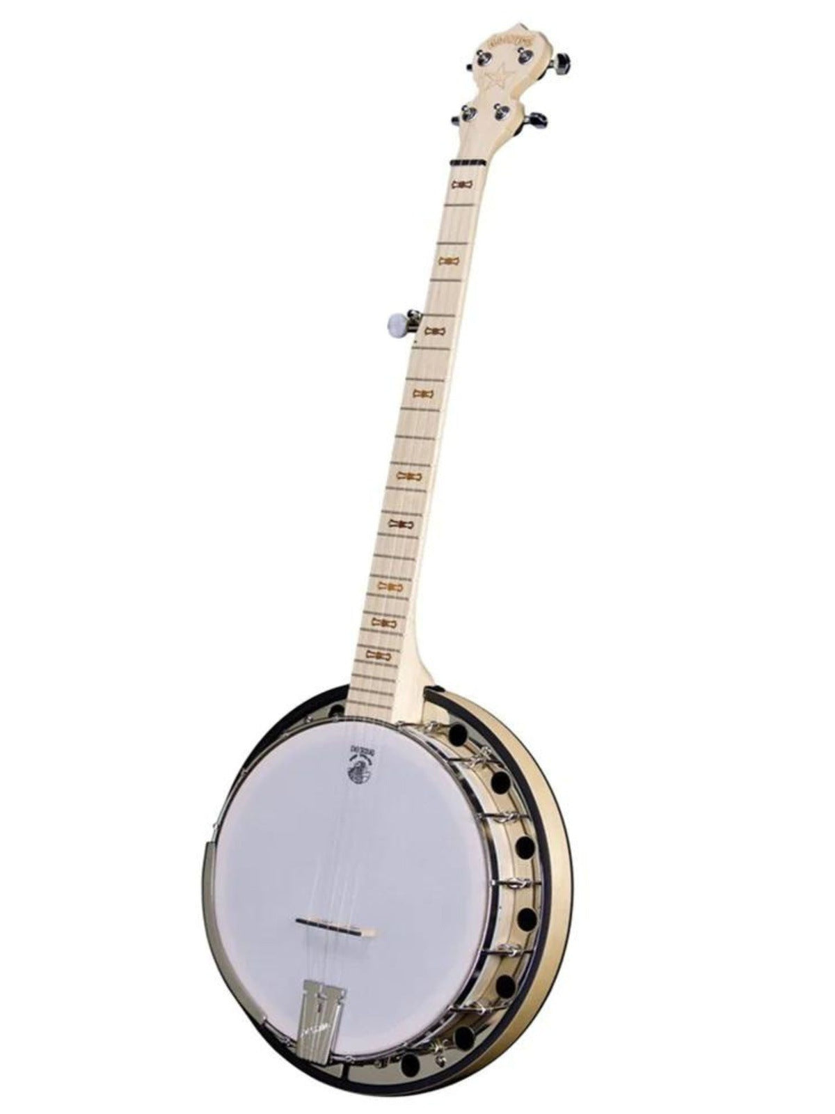 Deering Goodtime Two Banjo