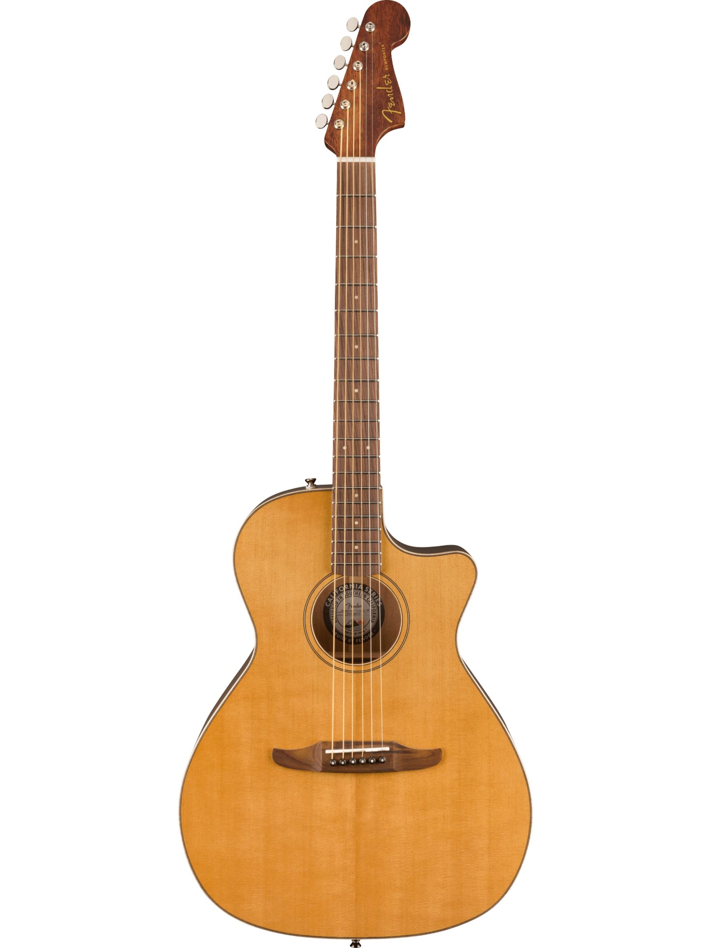 Fender Limited Edition Newporter Classic