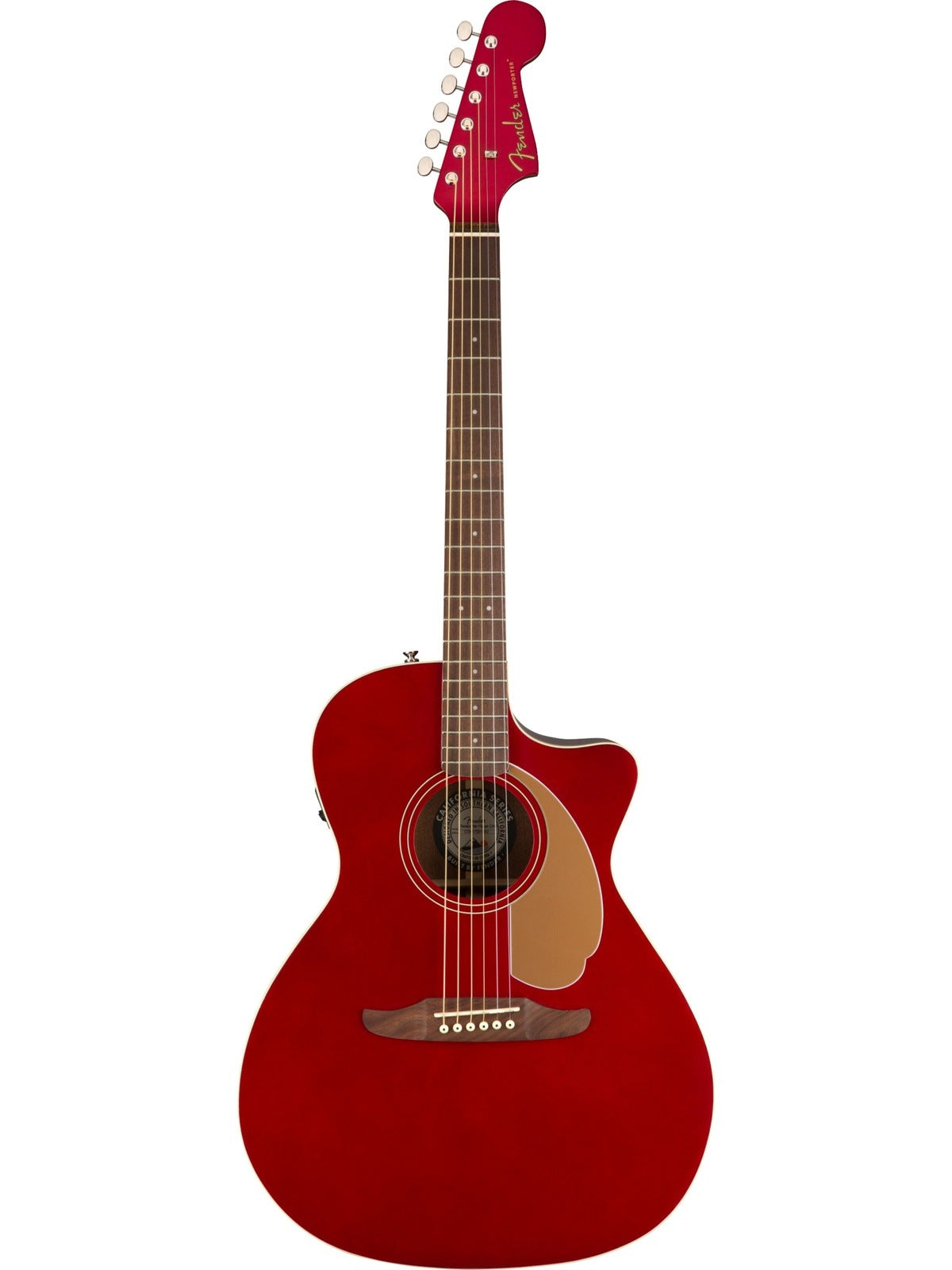 Fender Newporter Player