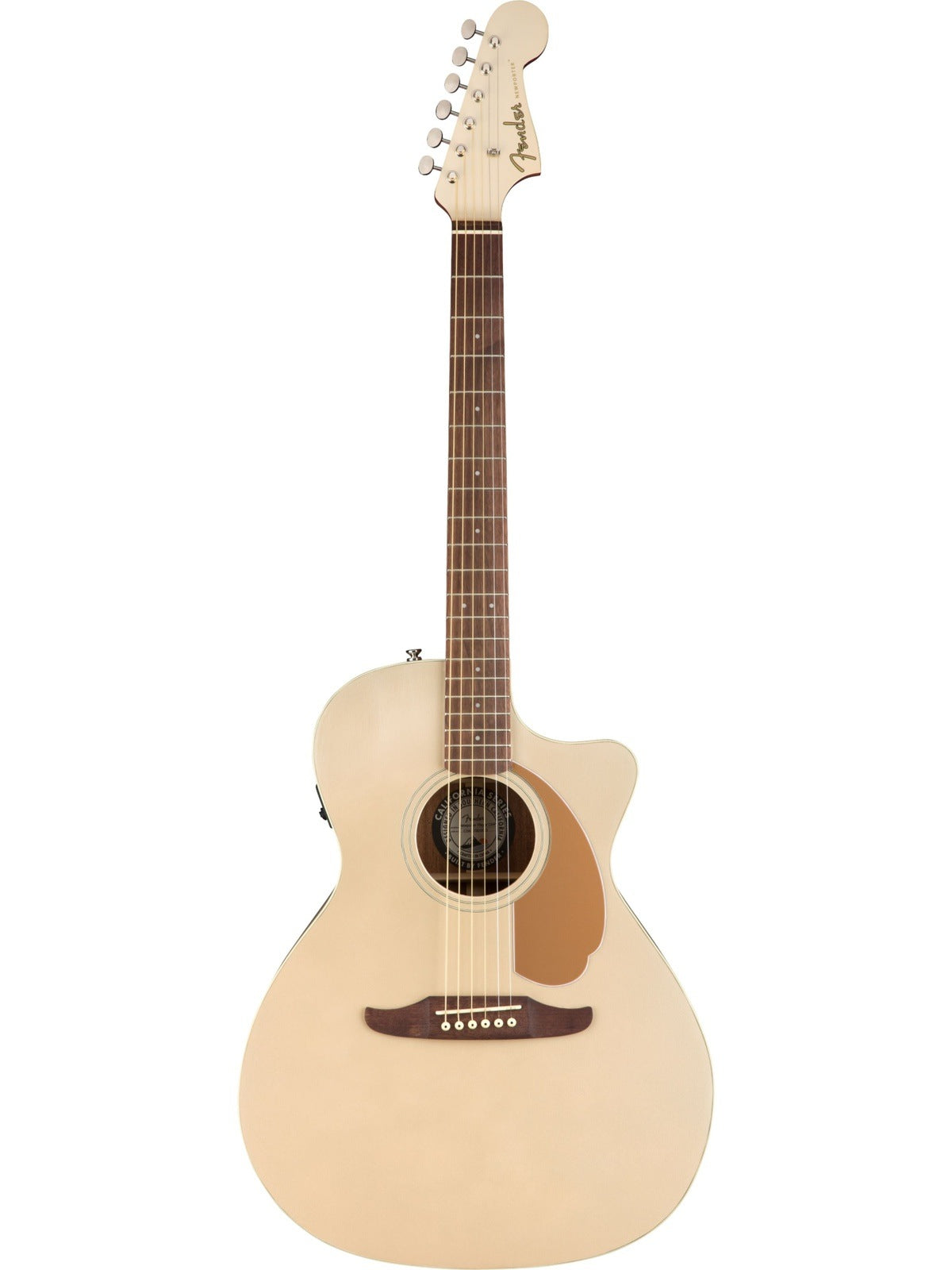Fender Newporter Player