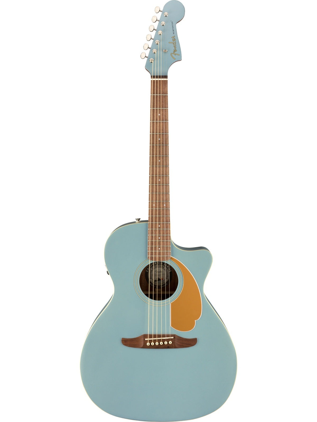 Fender Newporter Player