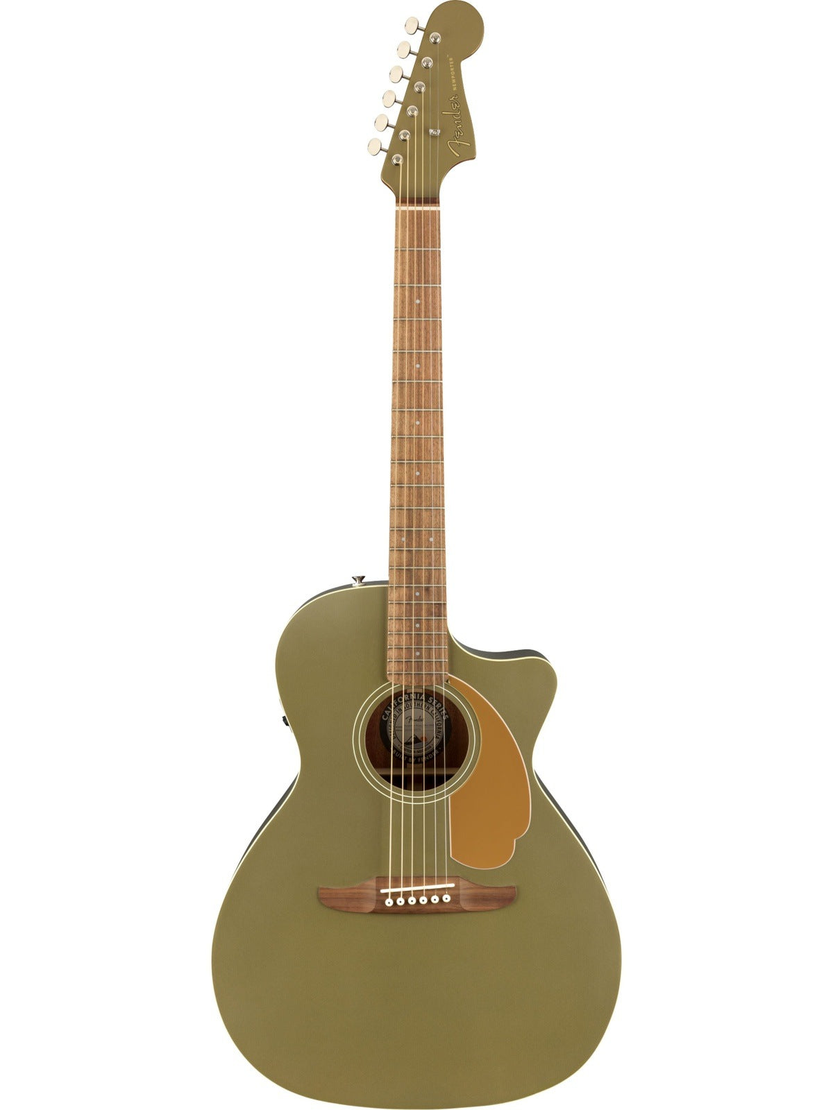 Fender Newporter Player