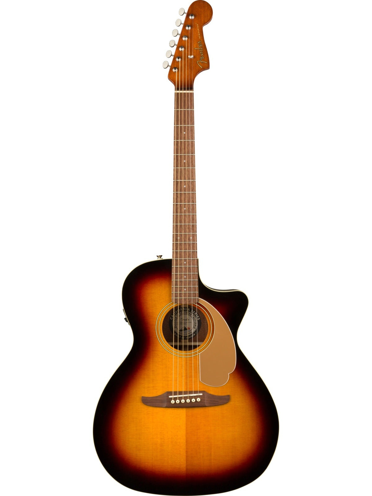 Fender Newporter Player