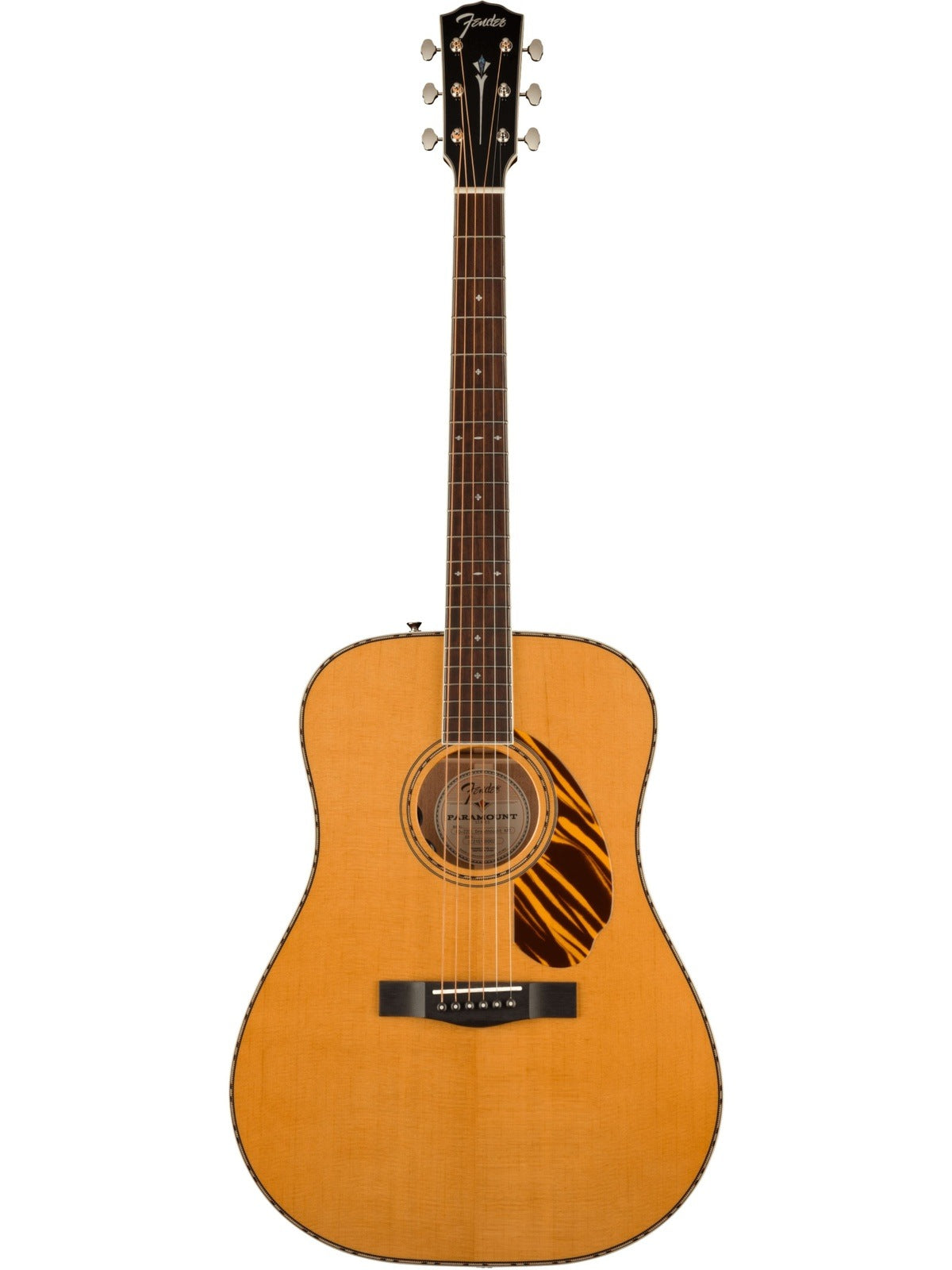 Fender PD-220E Dreadnought