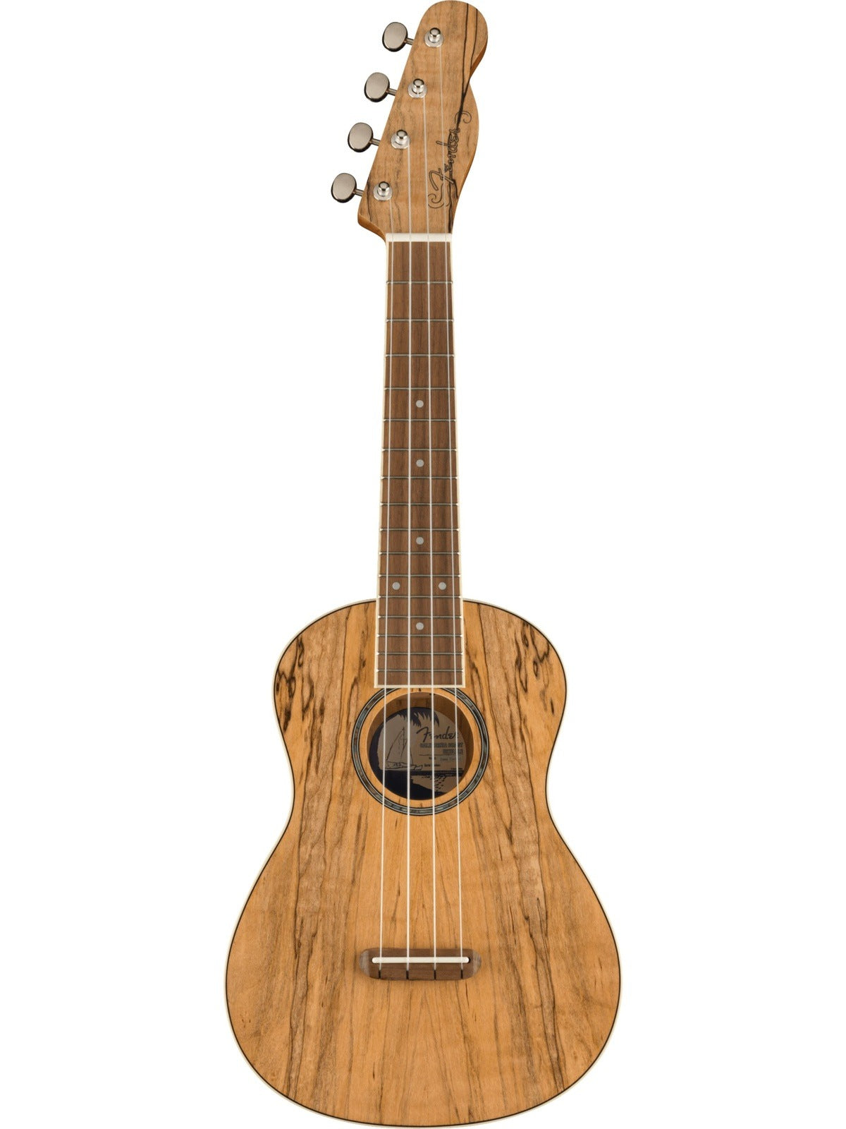 Fender Zuma Exotic Concert Ukelele, Spalted Maple