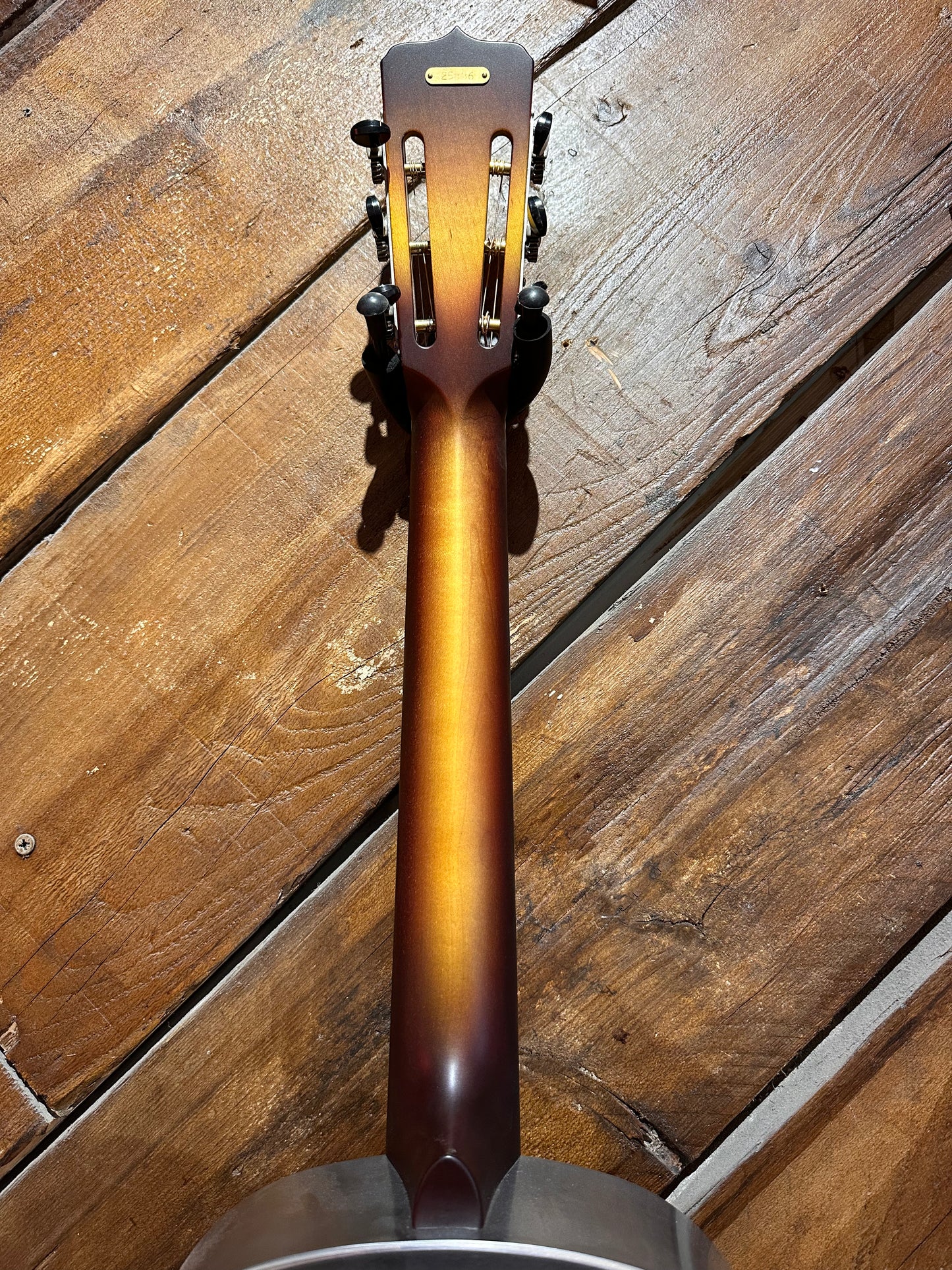 National RAW Series Tricone Resonator, Steel NEW