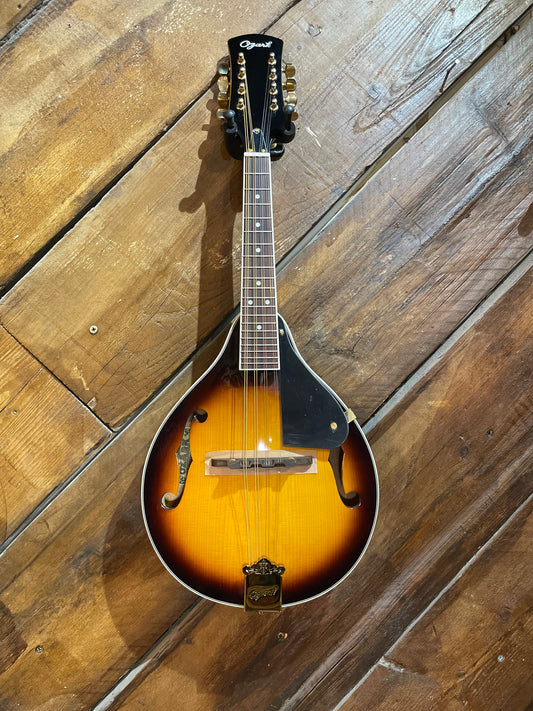 Ozark All Solid F-Hole Mandolin