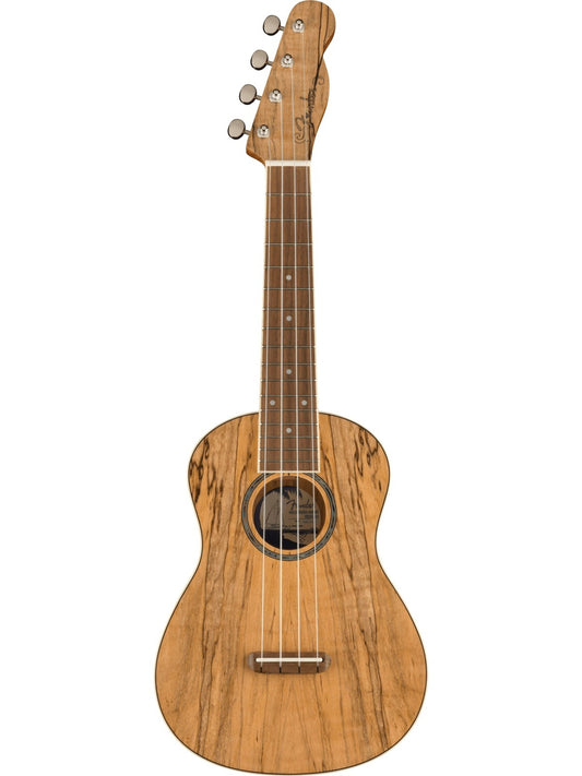 Fender Zuma Exotic Concert Ukelele, Spalted Maple