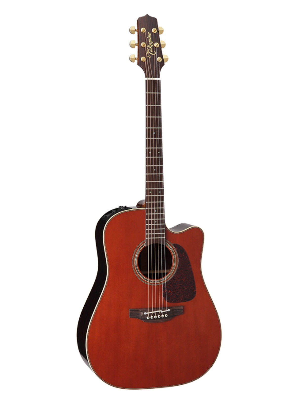 Takamine P5DC-WB Acoustic Guitar, Whiskey Brown