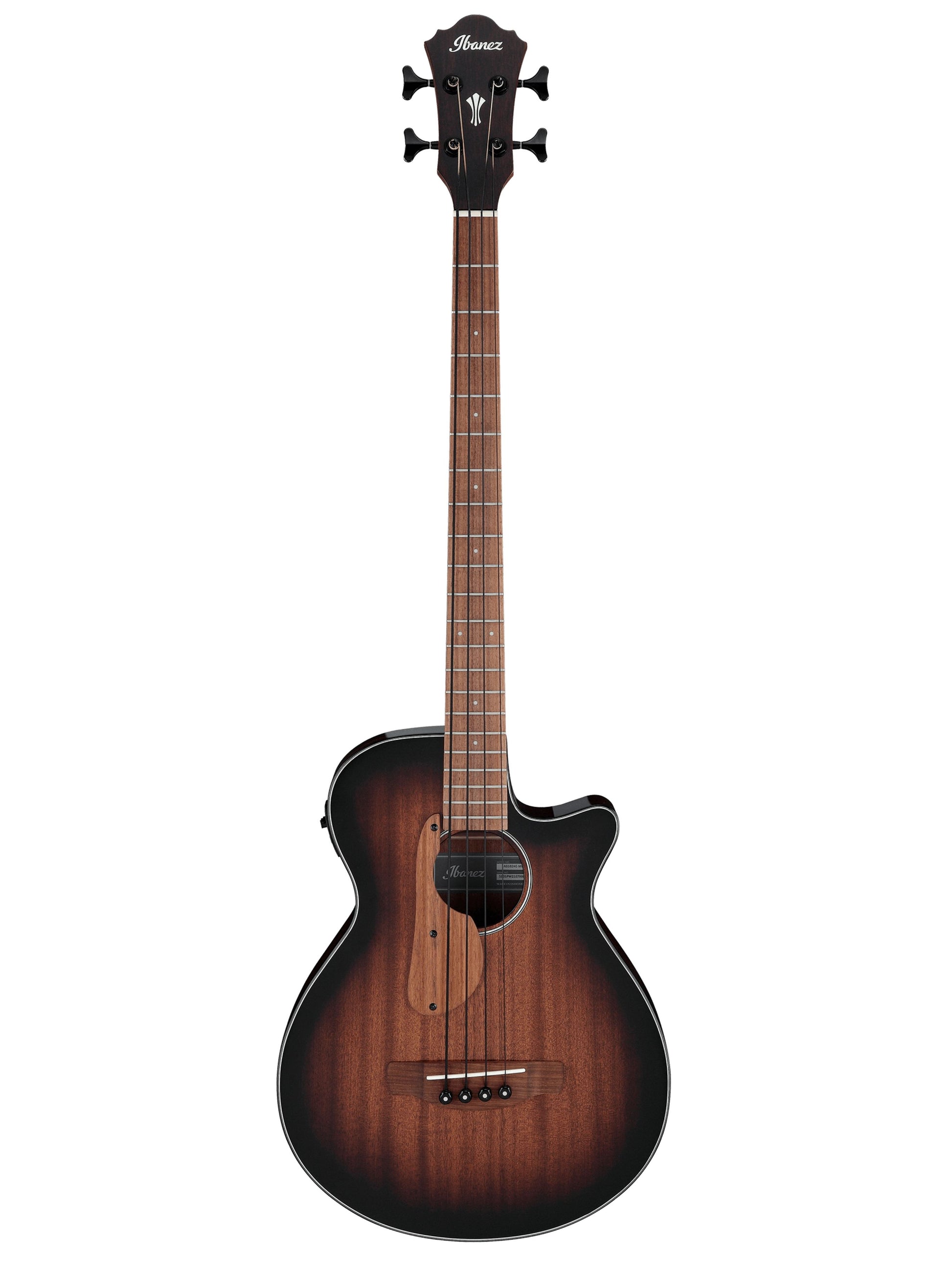 Ibanez AEGB24E Acoustic Bass