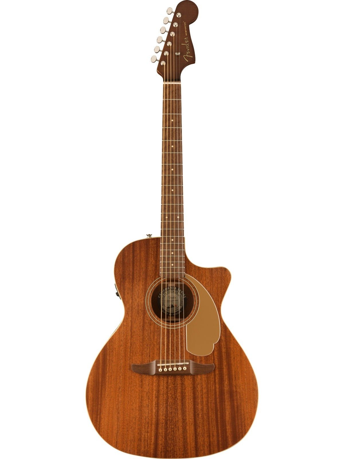 Fender Newporter Player
